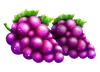Símbolo de Uvas de Basket Bounty
